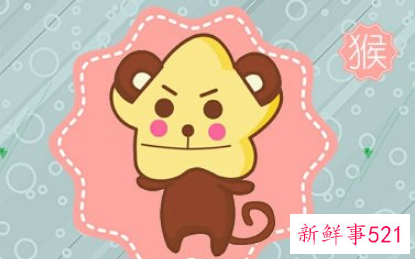 属猴和属马的合不合