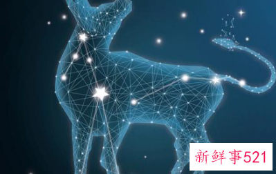 金牛男有了新欢会想起旧爱吗