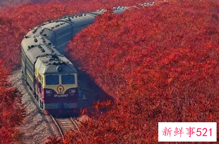 怎么和红色的性格的人相处