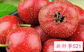 什么人不可以吃山楂