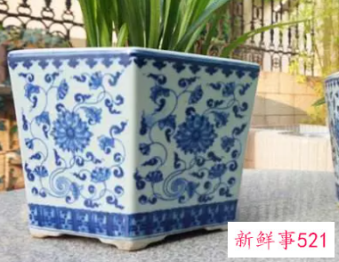 养花用的花盆应该怎么选择