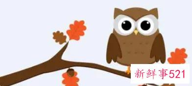 梦见猫头鹰是什么意思