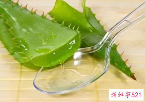 怎样用新鲜芦荟美容