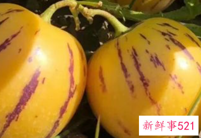 人参果适合哪种人吃