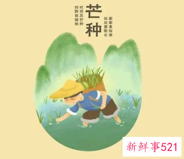 芒种主要有什么节日民俗
