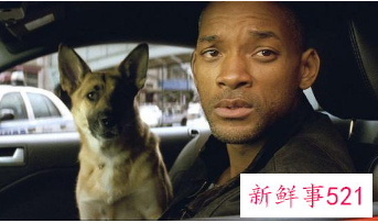 威尔·史密斯将回归《我是传奇》续集