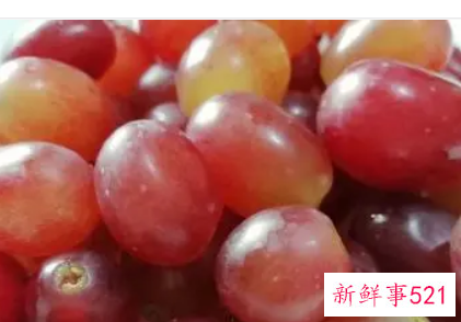 葡萄的营养成分含量