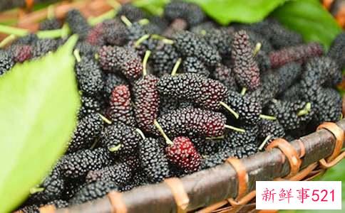 桑葚和枸杞子的功效与作用及食用方法