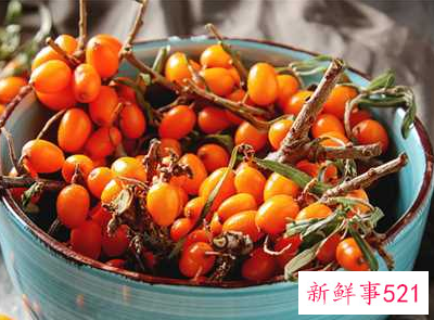 沙棘籽泡水喝的功效与作用