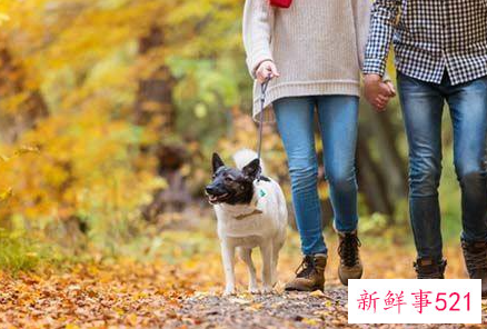 对男朋友的昵称大全