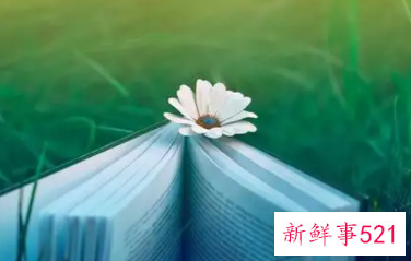 夸一个女人工作优秀的句子