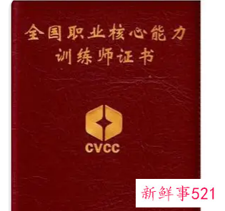 职业核心能力证书有用吗