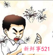 芦荟为什么可防止蚊虫叮咬