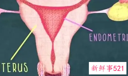 假性石女是什么情况