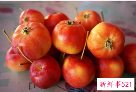 沙果有哪些功效与作用