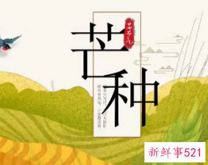 芒种主要有什么节日民俗