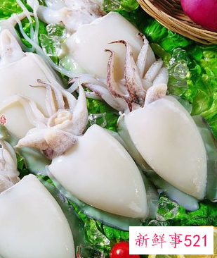 墨鱼营养价值及功效及禁忌