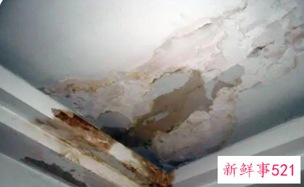 女人梦见楼上漏水下来