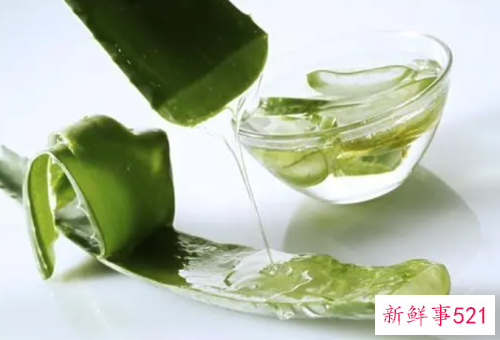 怎样用新鲜芦荟美容