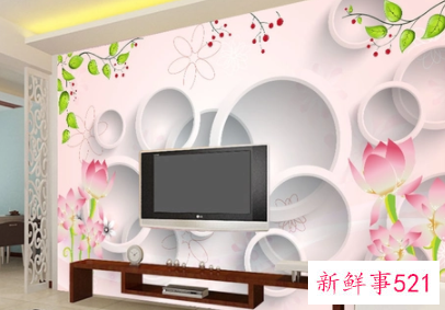 属水之人不能贴什么颜色的墙纸