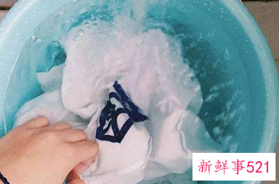 老鼠在衣服上撒尿怎么洗