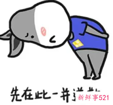 最简单最真诚的道歉信老师