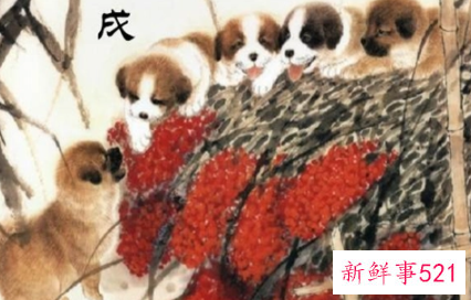 属狗感情还能复合