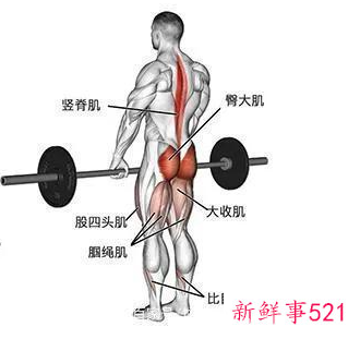 锻炼身体动作名称