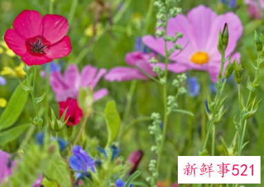 伶牙俐齿能说会道星座女