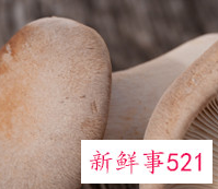 金针菇和什么相克