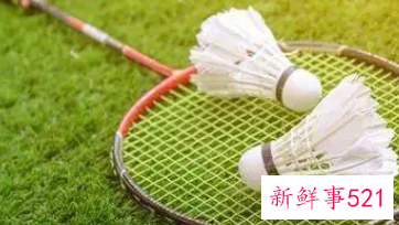 打羽毛球的规则