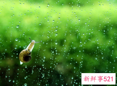 撩妹不知道聊什么话题