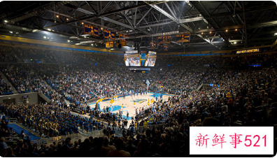 2028奥运会口号是什么