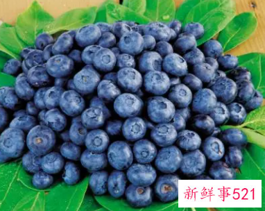 蓝莓葡萄的功效与作用及食用方法