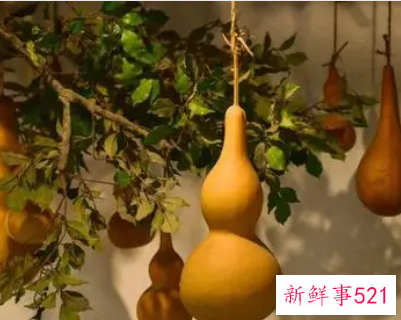 家里摆什么旺财和顺利