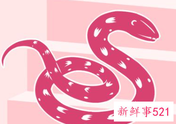 属蛇女厉害之处