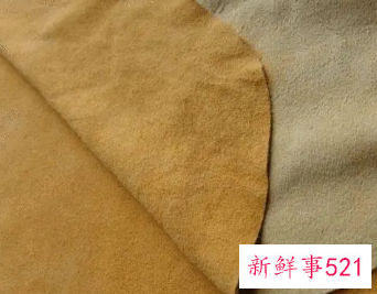 麂皮是什么皮