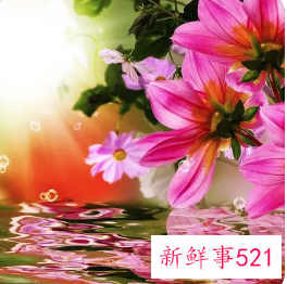 梦见多姿多彩的