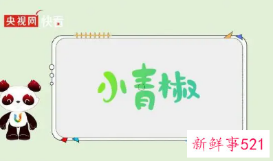 2022大运会志愿者叫什么