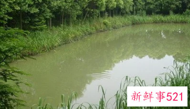 梦见水潭溺水是什么意思