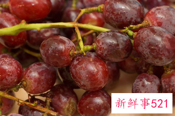 提子为什么没有籽