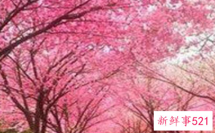 同时拥有双鱼座和水瓶座的人是什么样的人