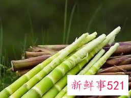 女生吃笋多有什么危害