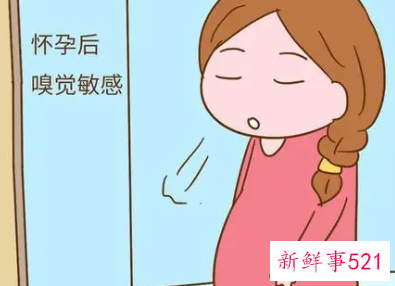 孕吐反应大怎么缓解