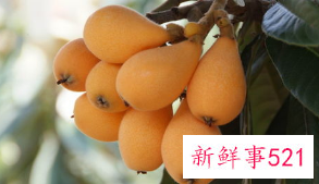 吃枇杷会有什么好处