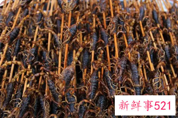 炸蝎子后面的毒针能不能吃