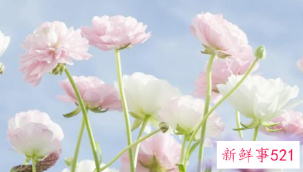 分手挽回有力度的话