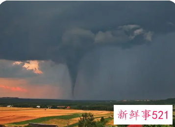 梦见旋风什么寓意