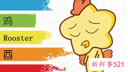 生肖鸡适合戴绿松石吗