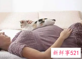女人做梦怀孕了什么意思